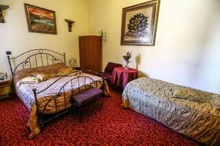 Отель Hotel Voila Констанца Двухместный номер с 1 кроватью или 2 отдельными кроватями-4