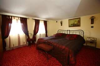 Отель Hotel Voila Констанца Двухместный номер с 1 кроватью или 2 отдельными кроватями-6
